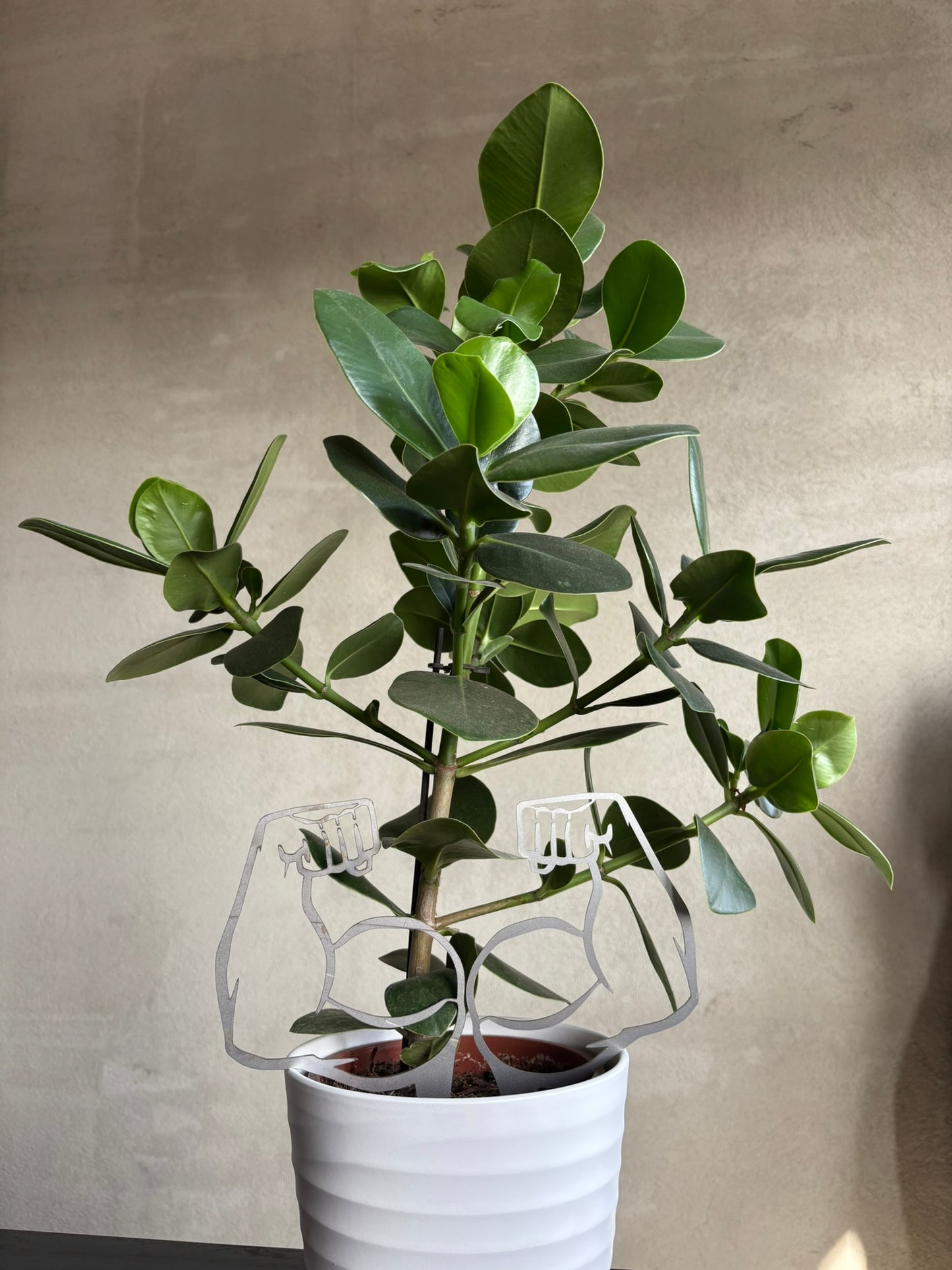 Gartenbizeps Set